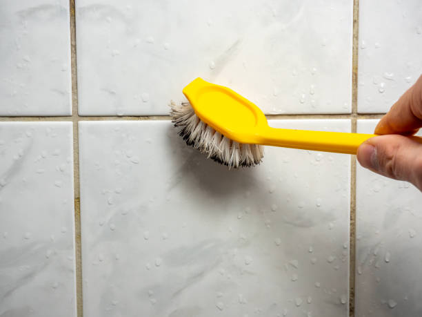 Best Mold Damage Repair  in Galesville, WI