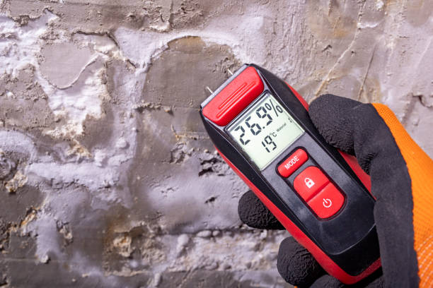 Best Mold Testing  in Galesville, WI