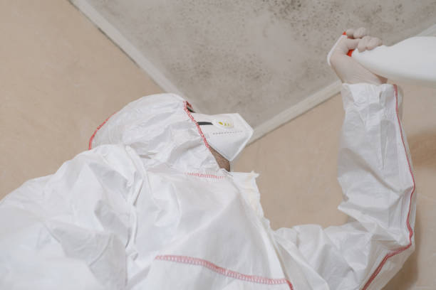 Best Mold Cleaning Services  in Galesville, WI